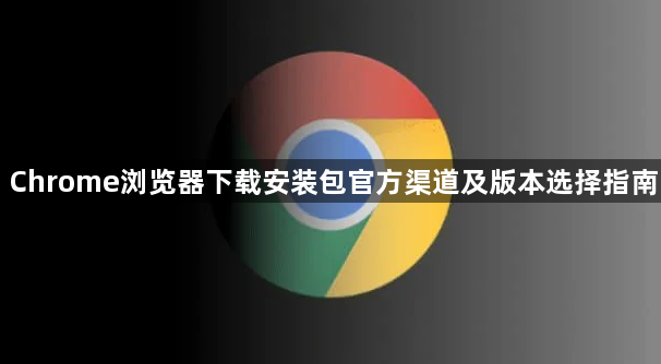 Chrome浏览器下载安装包官方渠道及版本选择指南1