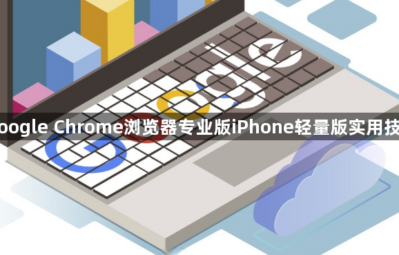 Google Chrome浏览器专业版iPhone轻量版实用技巧1