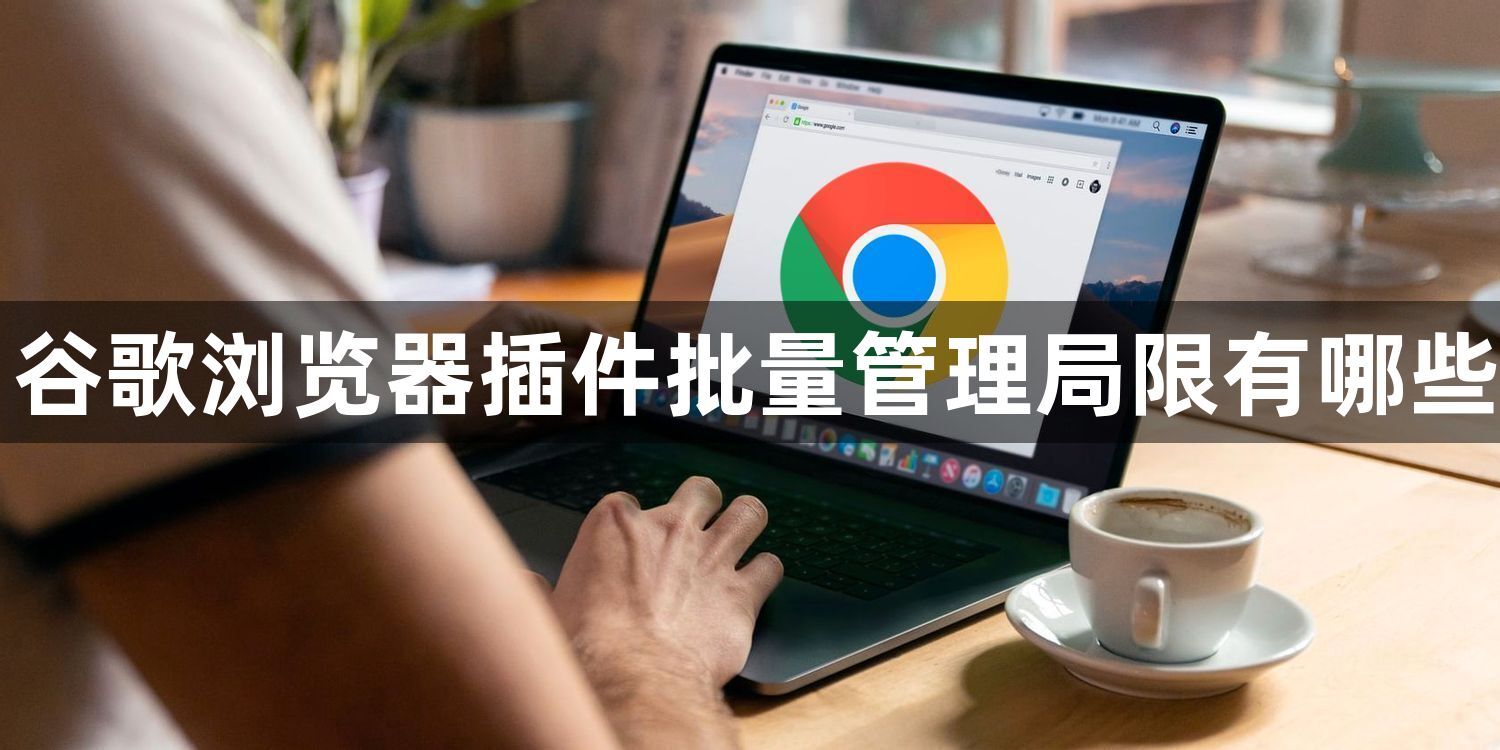 谷歌浏览器插件批量管理局限有哪些1