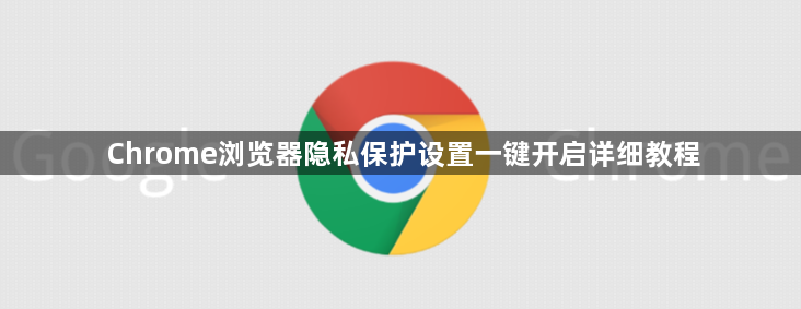 Chrome浏览器隐私保护设置一键开启详细教程1
