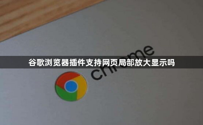 谷歌浏览器插件支持网页局部放大显示吗1