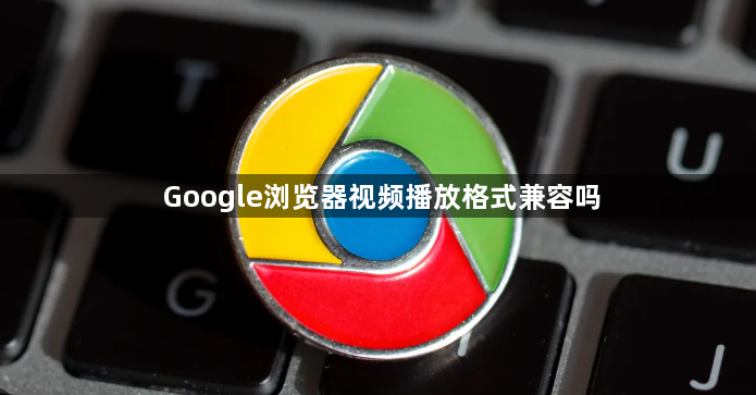 Google浏览器视频播放格式兼容吗1