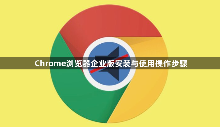 Chrome浏览器企业版安装与使用操作步骤1